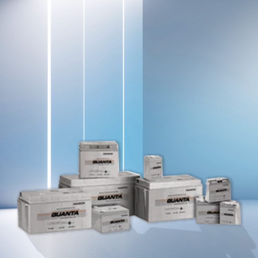 Inverter & Batteries